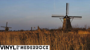 vinyland_nederrock-min-LG