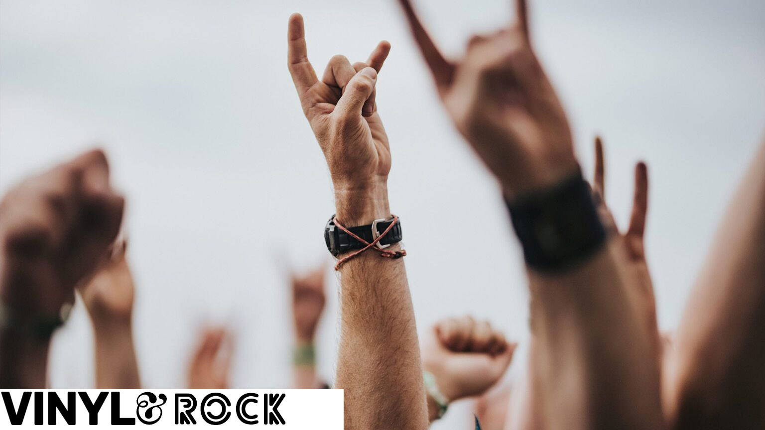 vinyland_rock-min-LG